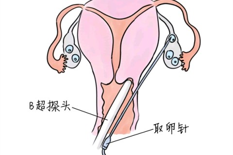 http://changzhou.huochezhan.net/post/205.html|常州供卵助孕