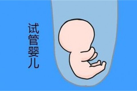 培养常州捐卵宝宝艺术细胞的小技巧