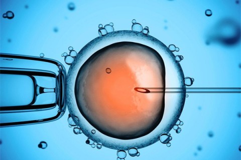 http://changzhou.huochezhan.net/post/199.html|常州供卵助孕